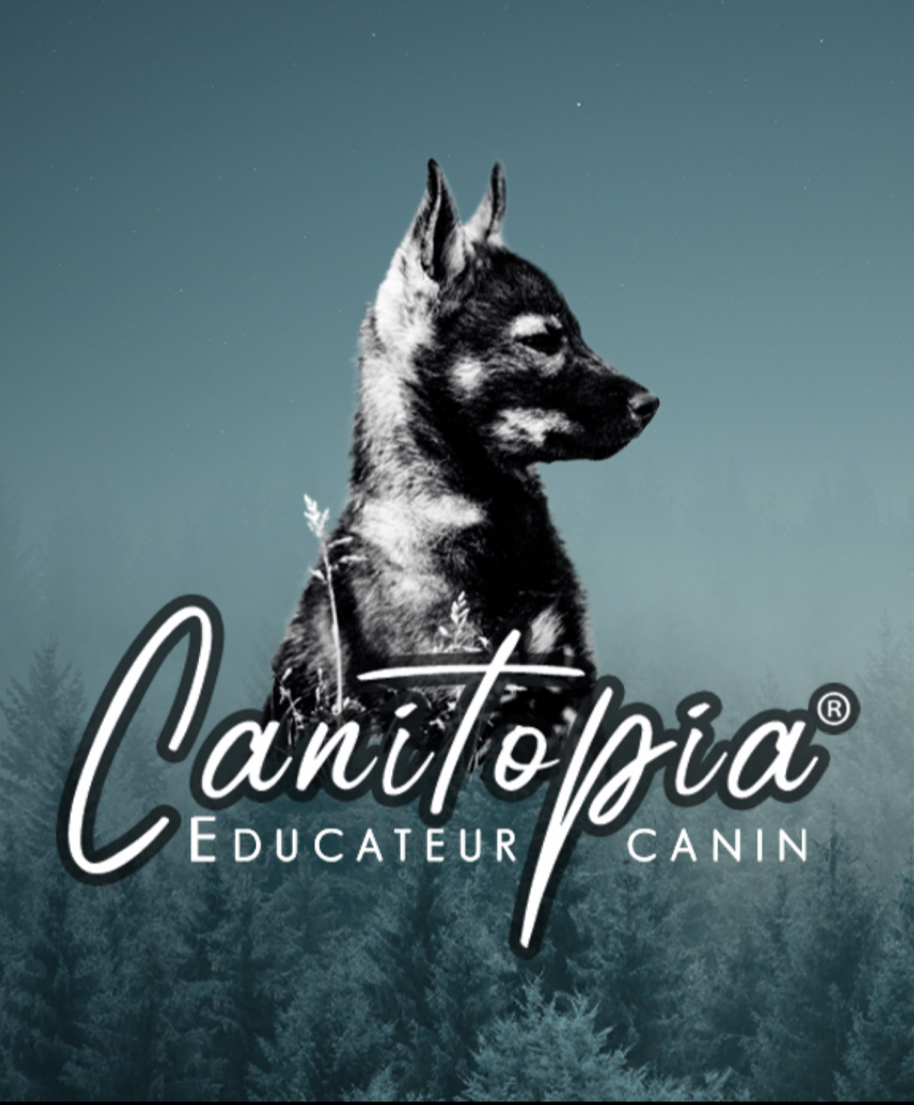 Logo Oceane Le Peutrec