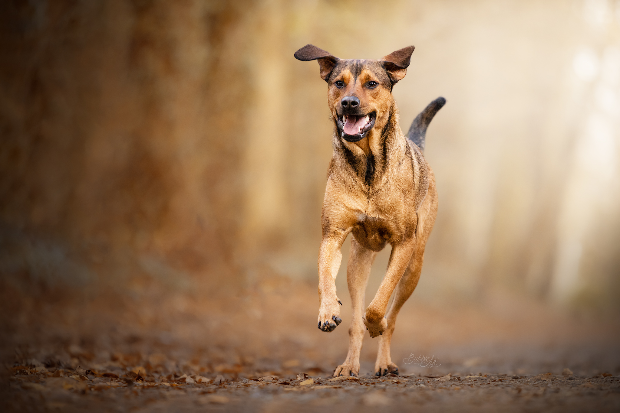 Logo de Emmanuelle Le corre