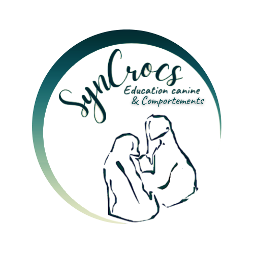 Logo de Lauren Wyroslak