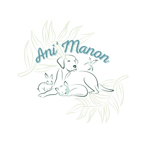 Logo Manon Vanesse