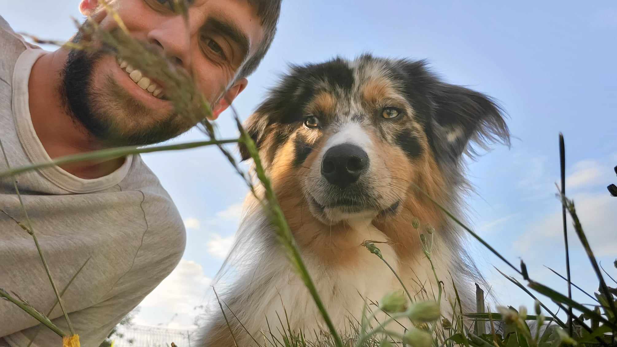 Logo de Romain Ferré