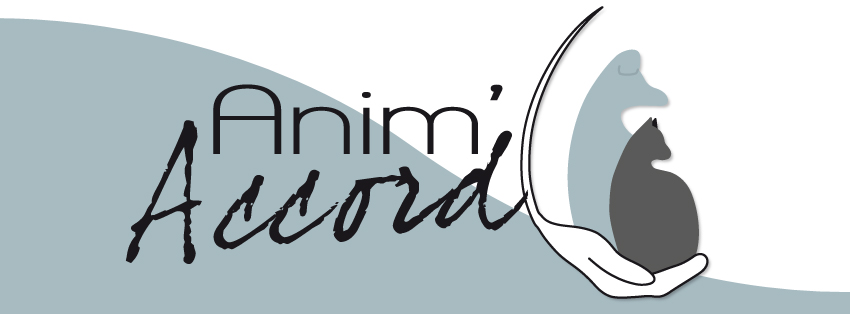 Logo Laetitia Lehoux