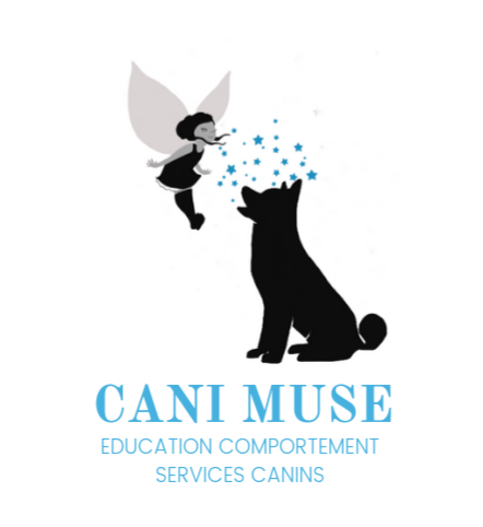 Logo de Virginie Martinez