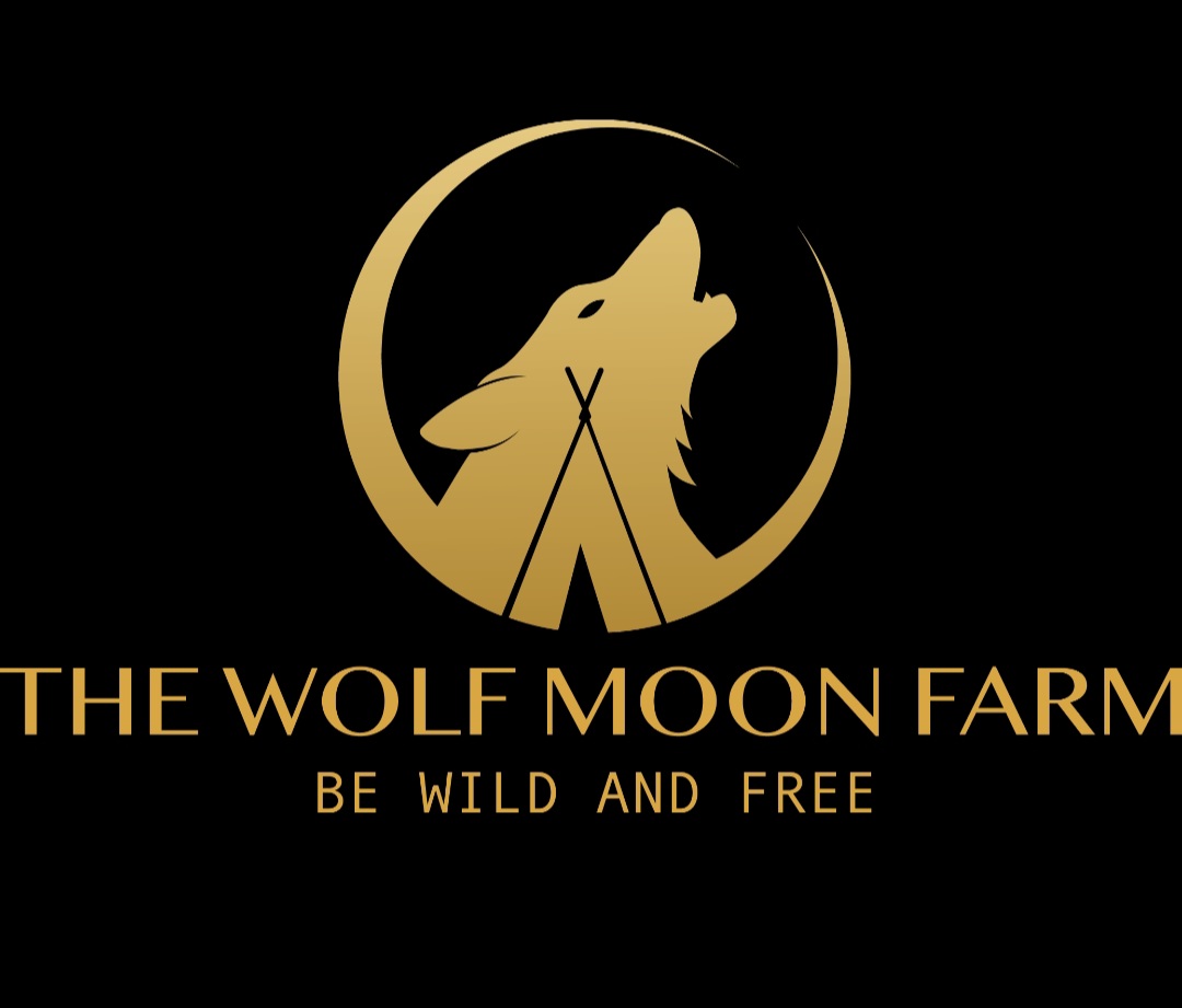 Logo Michèle JULIEN