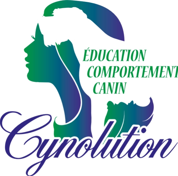 Logo de Jennifer Lucas