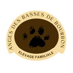 Logo de Nadia Garcia