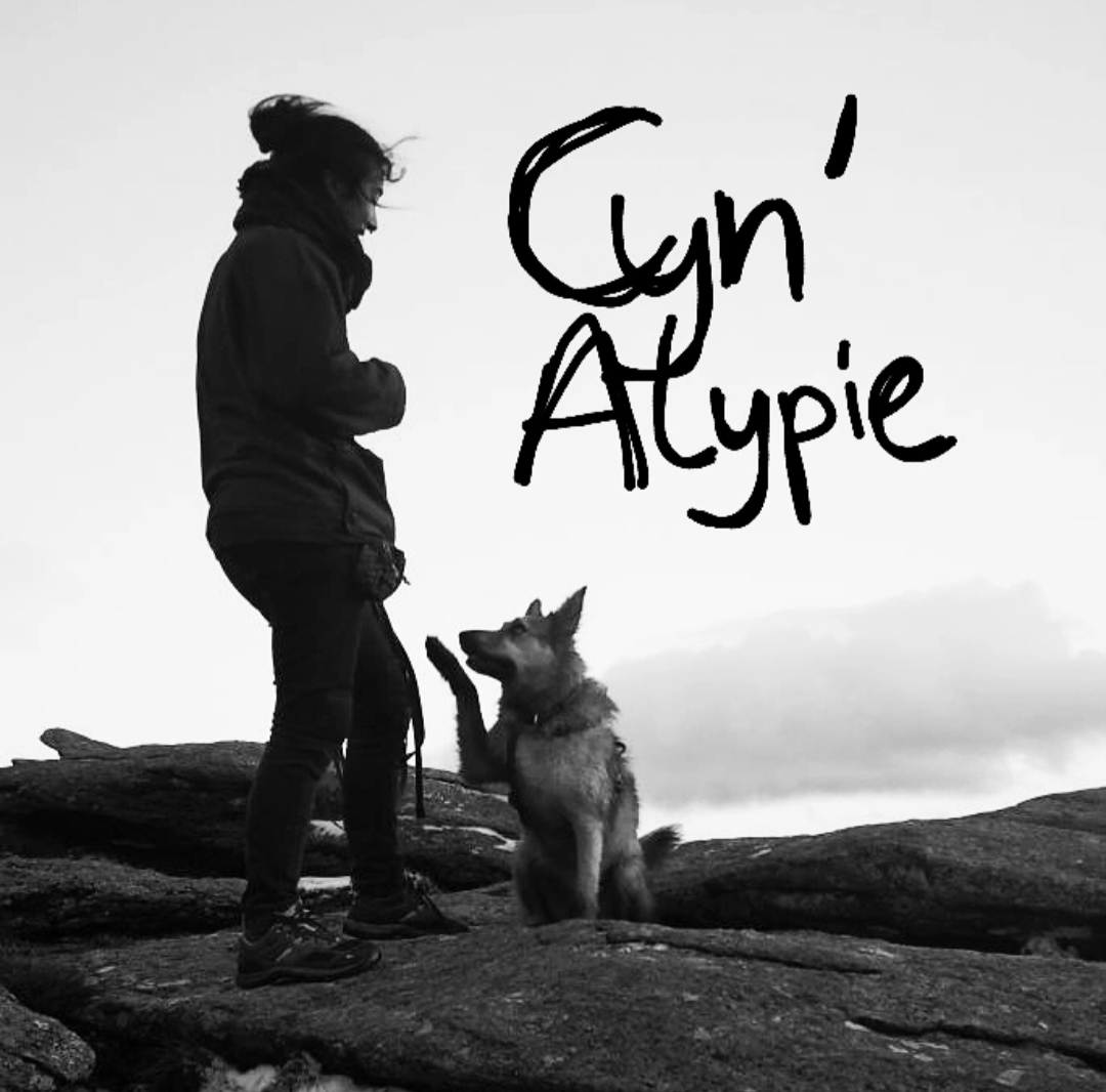 Logo de Brune Hervé