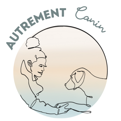 Logo de Chloé Ontanaya